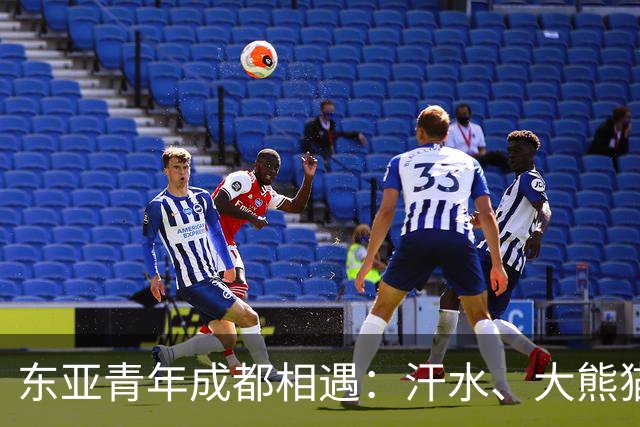 东亚青年成都相遇：汗水、大熊猫与友谊