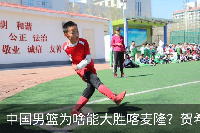 中国男篮为啥能大胜喀麦隆？贺希宁忍不住说出心里话，说得很实在